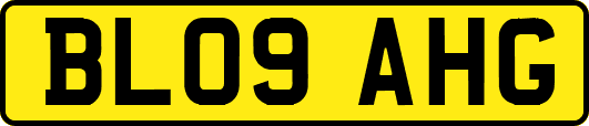 BL09AHG