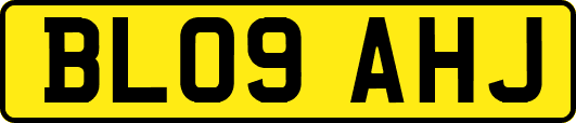 BL09AHJ