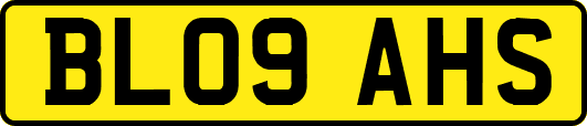 BL09AHS