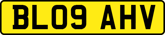 BL09AHV