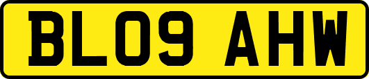 BL09AHW