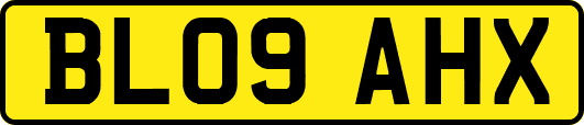 BL09AHX