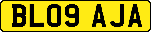 BL09AJA