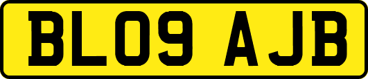 BL09AJB