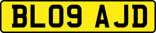 BL09AJD