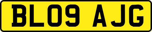 BL09AJG