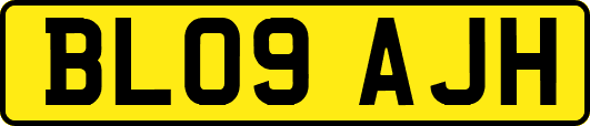 BL09AJH