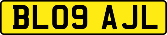 BL09AJL