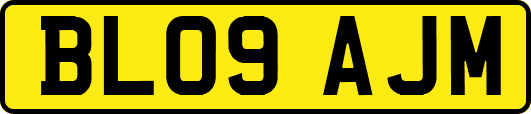 BL09AJM