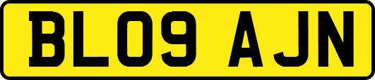 BL09AJN