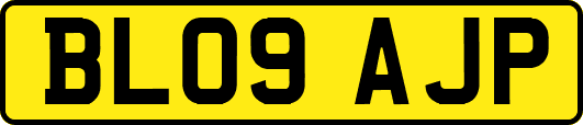 BL09AJP