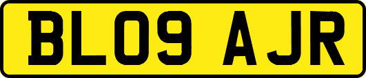 BL09AJR