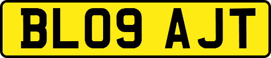 BL09AJT