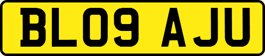BL09AJU