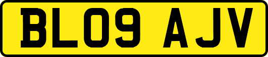 BL09AJV