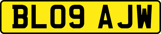 BL09AJW