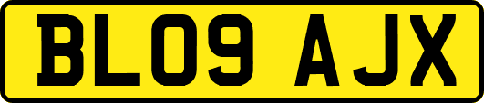 BL09AJX