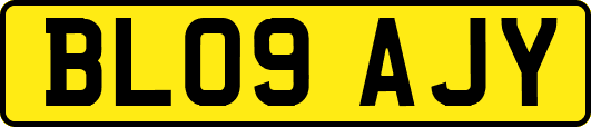 BL09AJY