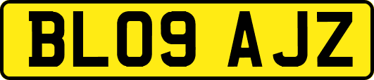 BL09AJZ