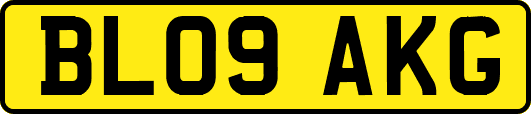BL09AKG