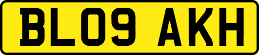 BL09AKH