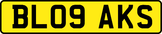 BL09AKS