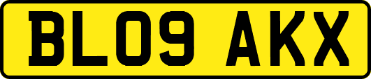 BL09AKX