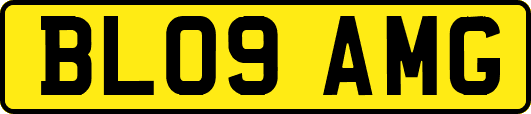 BL09AMG