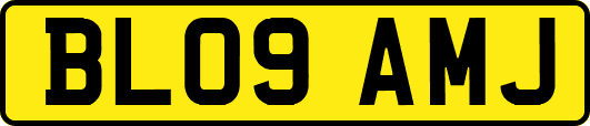 BL09AMJ
