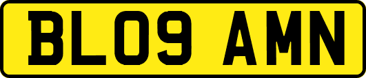 BL09AMN