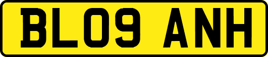 BL09ANH