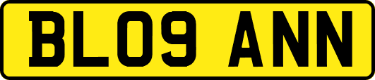 BL09ANN