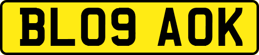BL09AOK