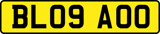 BL09AOO