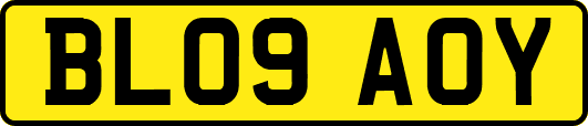 BL09AOY
