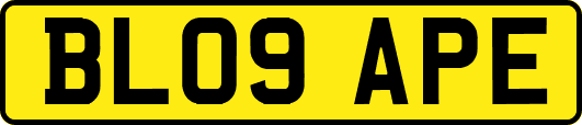 BL09APE
