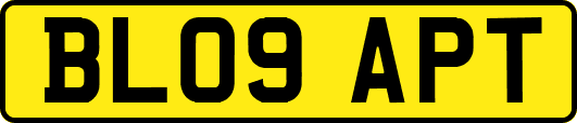 BL09APT