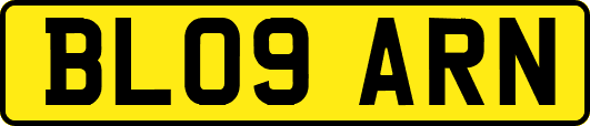BL09ARN