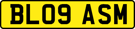 BL09ASM