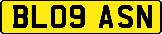 BL09ASN