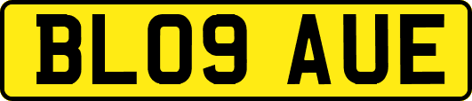 BL09AUE