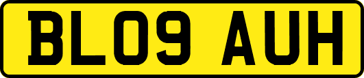 BL09AUH