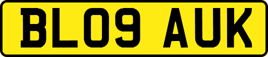 BL09AUK