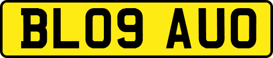 BL09AUO