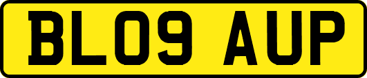 BL09AUP