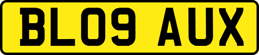 BL09AUX