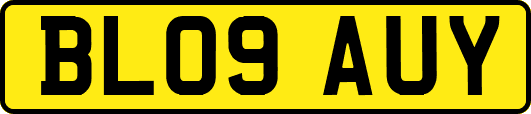 BL09AUY