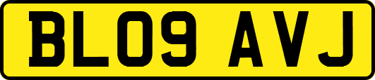 BL09AVJ