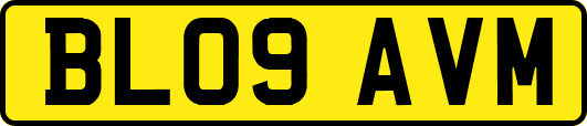 BL09AVM