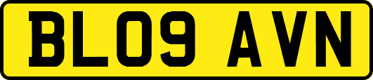 BL09AVN